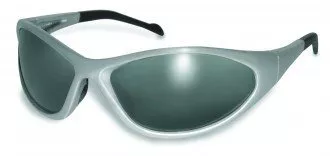 Очки Global Vision Reflex Smoked Silver